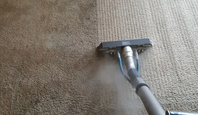 Essential Carpet Steam Clean