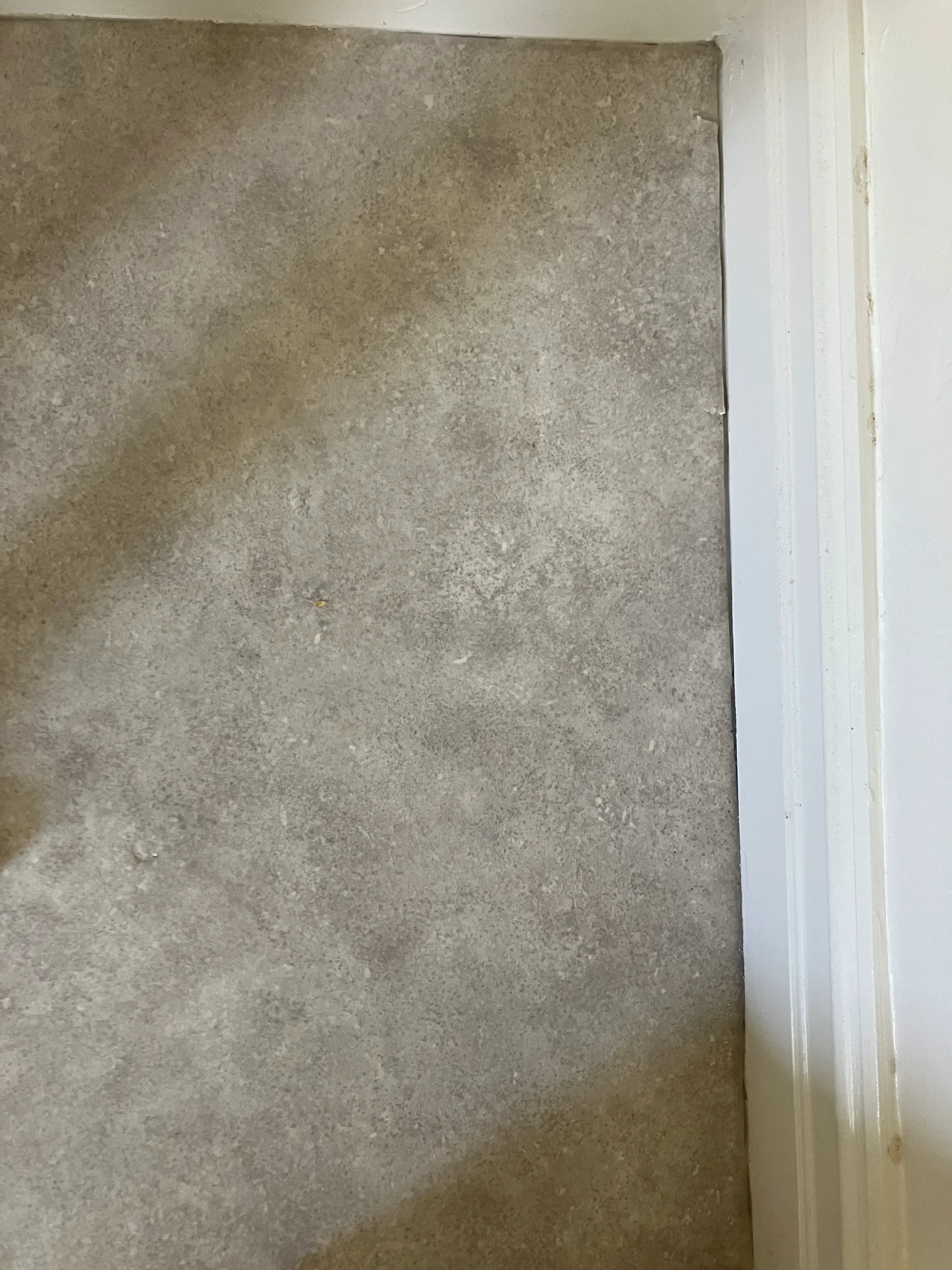 Post Construction Carpet Cleaning