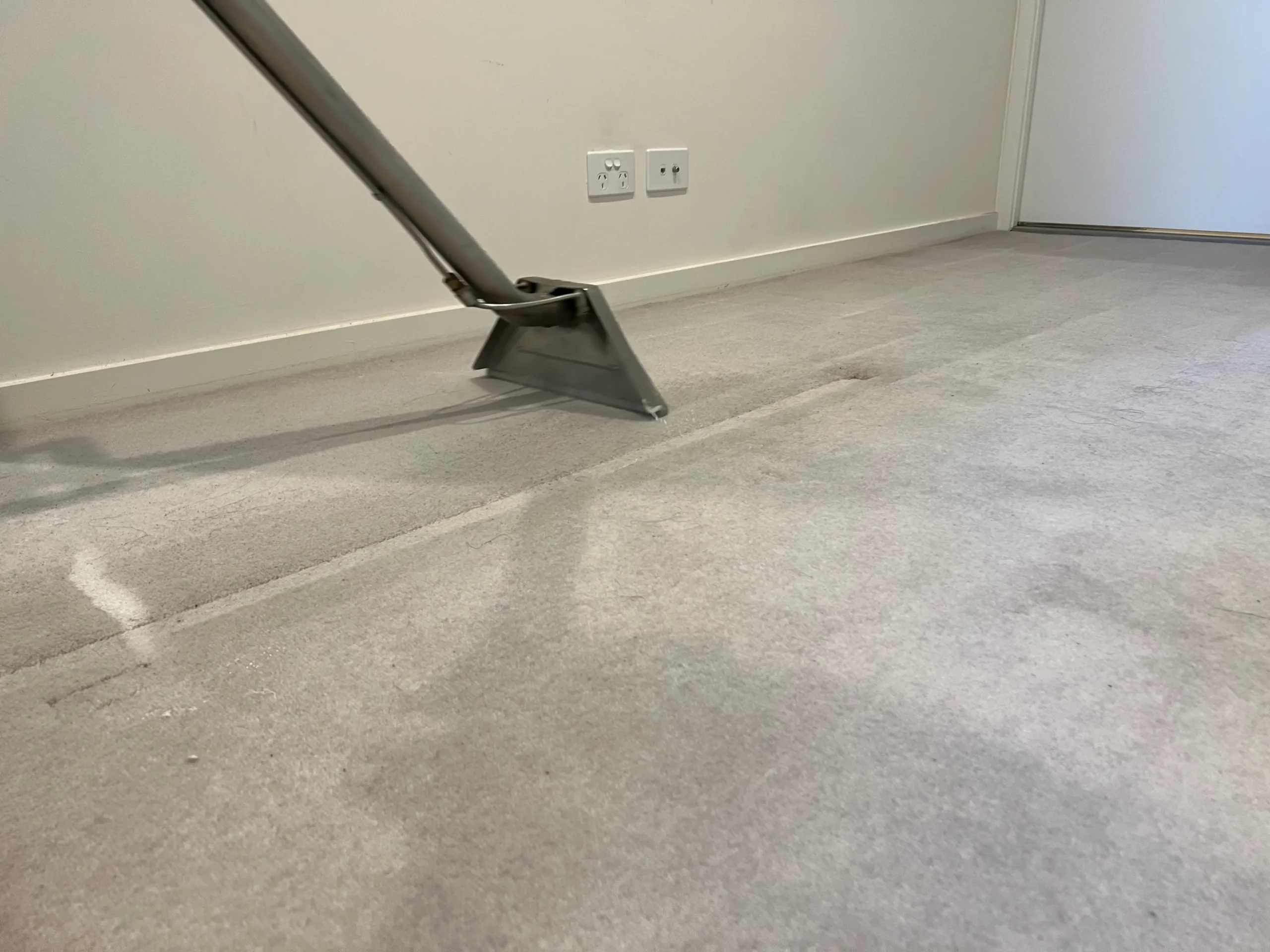 Carpet Steam Cleaning